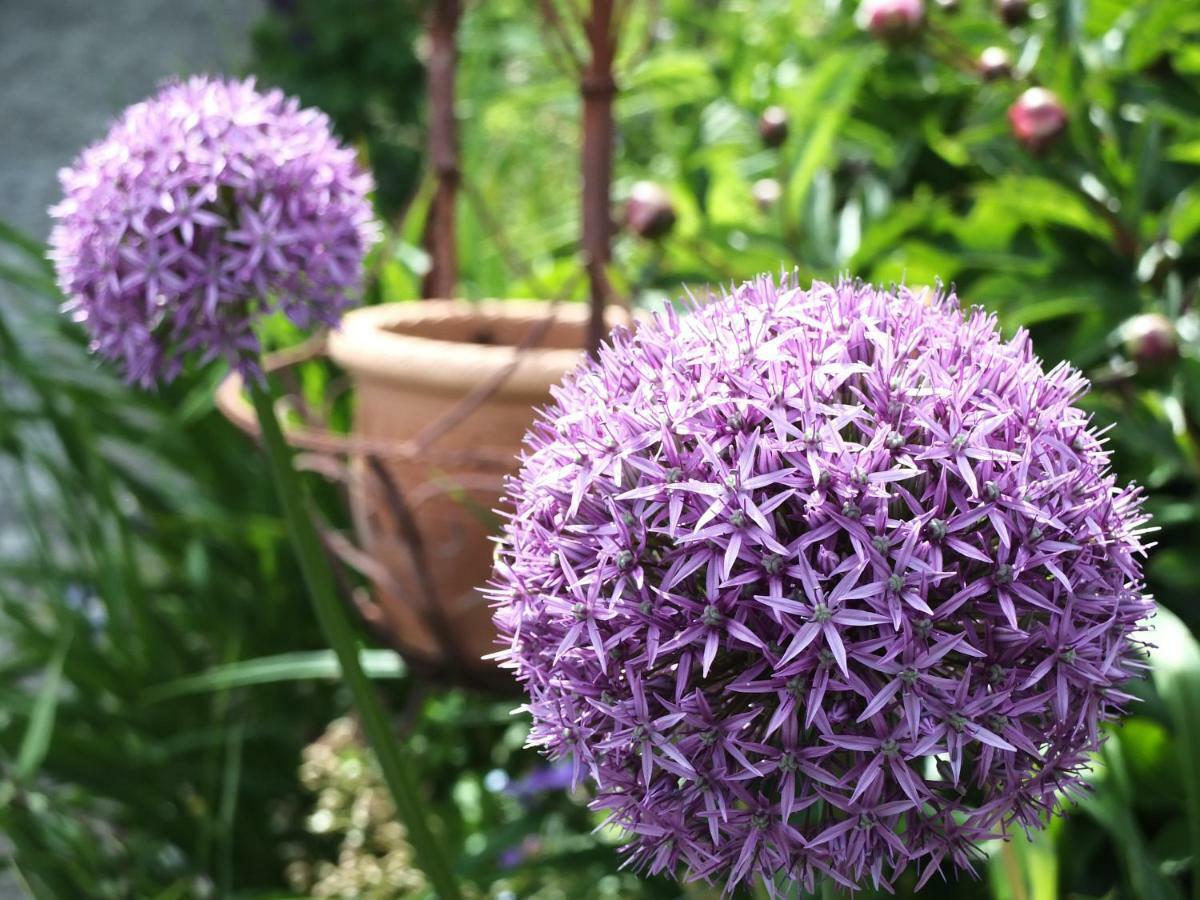Ferienhaus In Der Schlipfing Mit Garten Altmünster Екстериор снимка