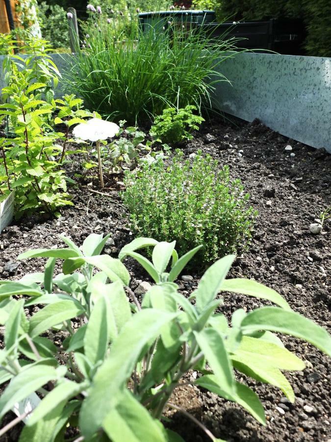 Ferienhaus In Der Schlipfing Mit Garten Altmünster Екстериор снимка