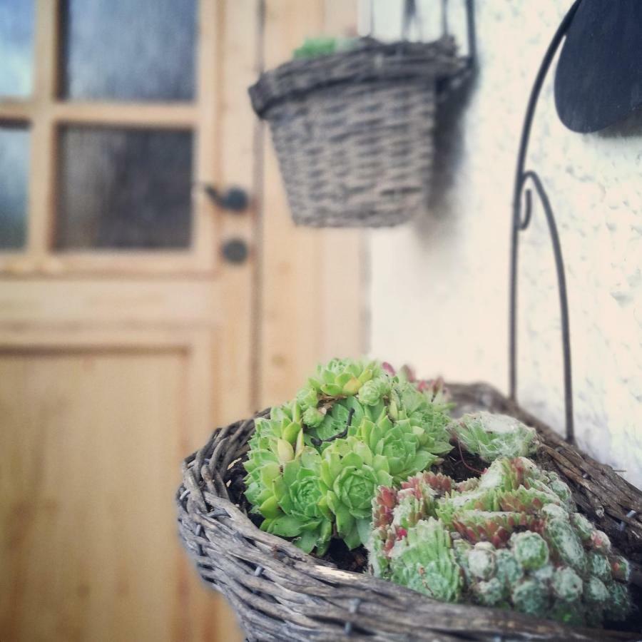 Ferienhaus In Der Schlipfing Mit Garten Altmünster Екстериор снимка