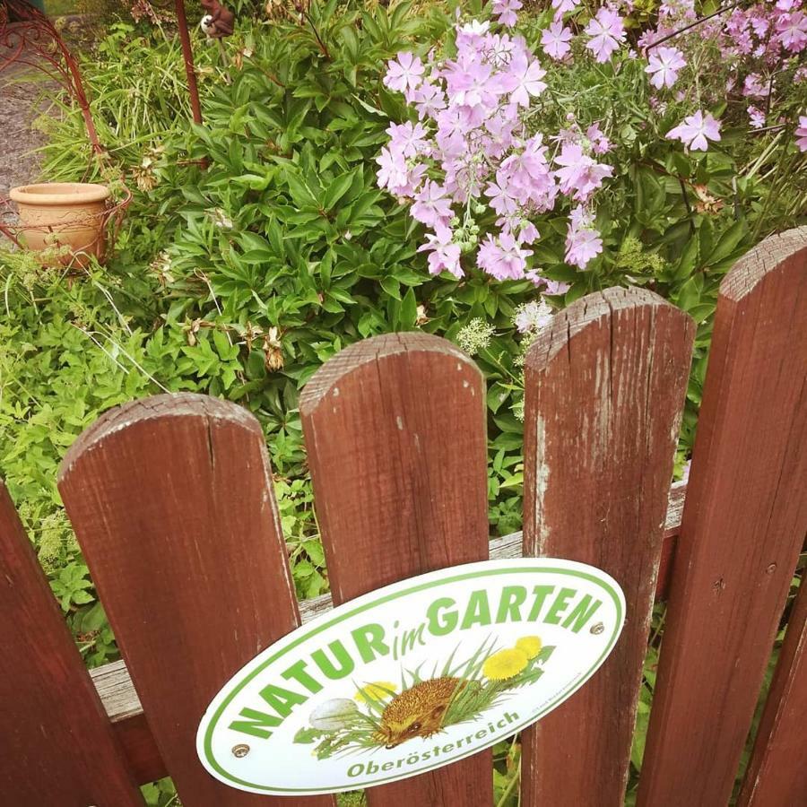 Ferienhaus In Der Schlipfing Mit Garten Altmünster Екстериор снимка